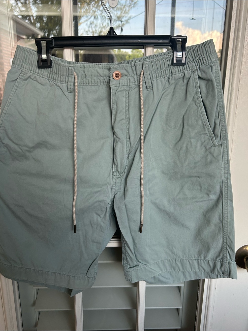 Caribbean Men's Drawstring Shorts in Sage Green